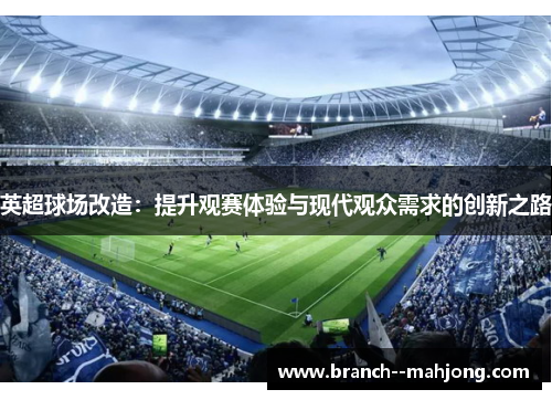 英超球场改造：提升观赛体验与现代观众需求的创新之路
