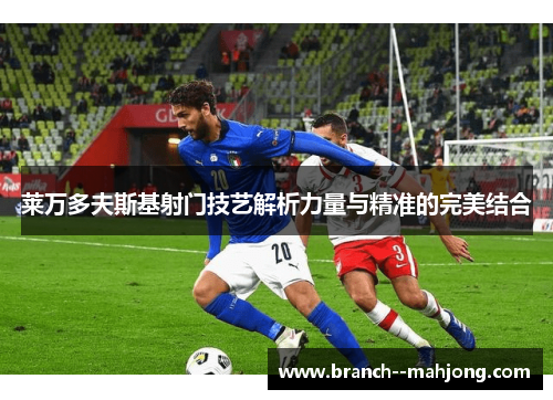 莱万多夫斯基射门技艺解析力量与精准的完美结合