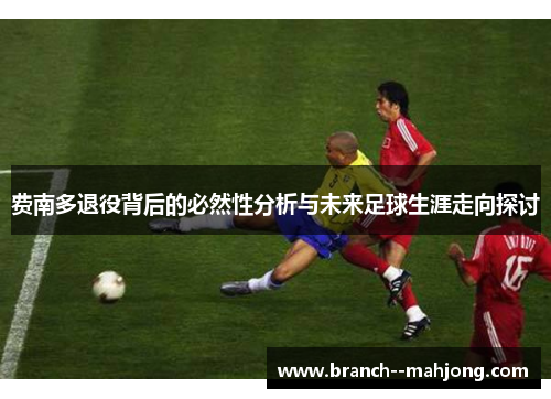 费南多退役背后的必然性分析与未来足球生涯走向探讨
