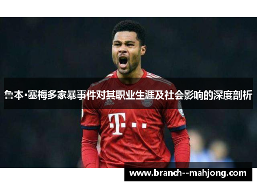 鲁本·塞梅多家暴事件对其职业生涯及社会影响的深度剖析